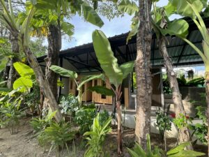 Sauna fitnesskamp thailand phuket