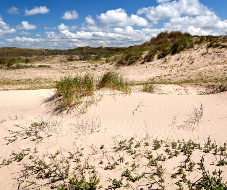 Fitnessreis Zandvoort