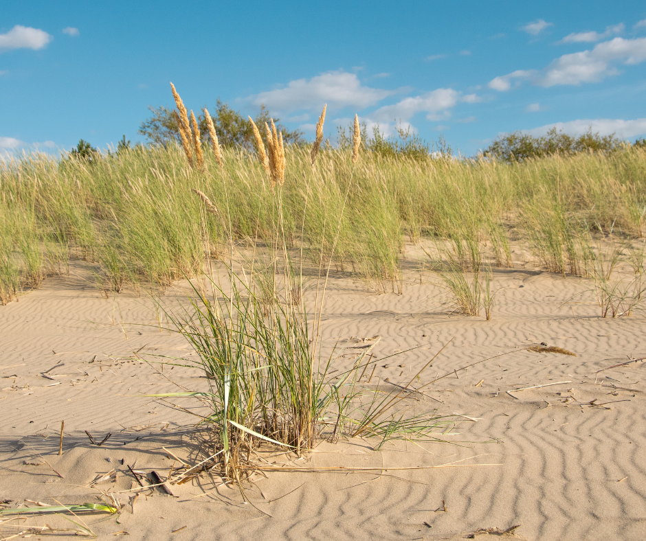 Fitnessreis Zandvoort