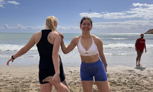 Lisa Gardeslen Fitnessreizen beachtraining