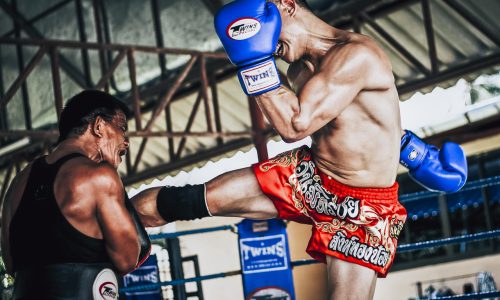 phuket-thailand-muay-thai-fitnessreizen.nl | tiger
